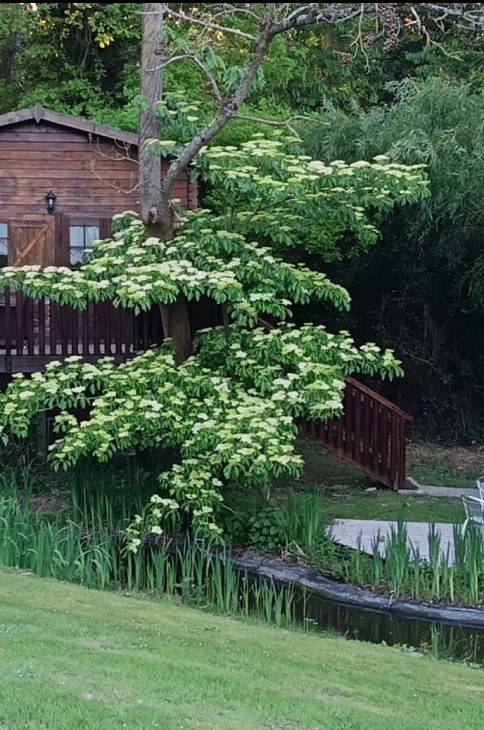 Chambre d’hôte pour 5 personnes, avec jardin et piscine dans l' Eure