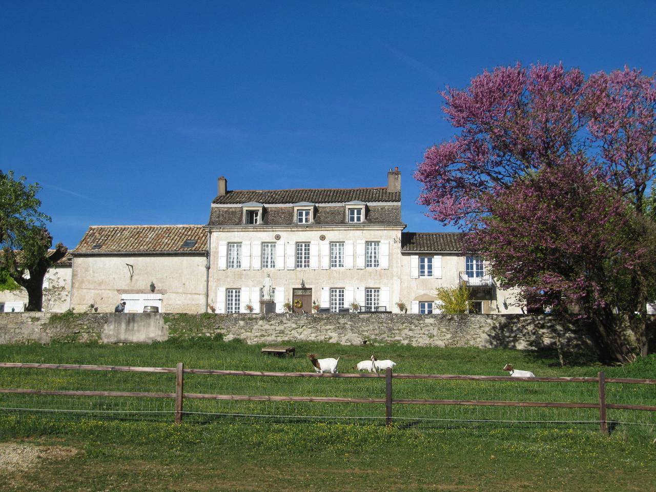 Smaragd in Tournus, Région de Mâcon