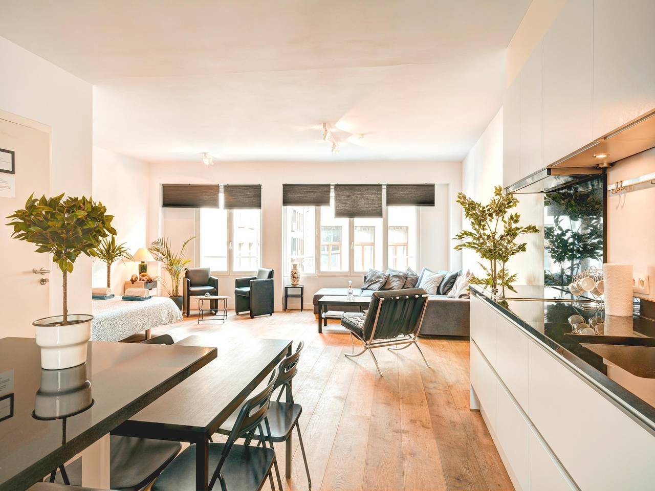 Geheel appartement, Appartement voor 9 personen in Antwerpen in Antwerpen, Antwerpen en omgeving