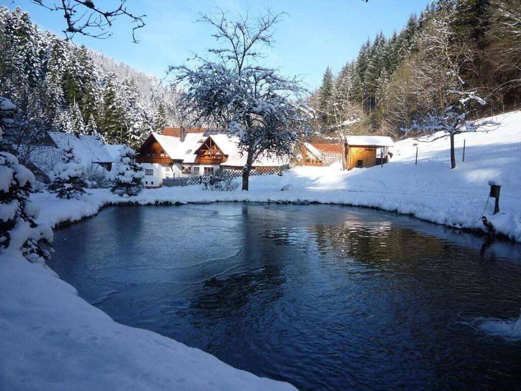 Six-Bedroom Holiday Home in Schiltach, Kinzigtal