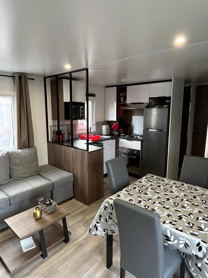 Mobil home pour 6 personnes, avec vue et piscine ainsi que terrasse et vue sur le lac, animaux acceptés à Condrieu - 4
