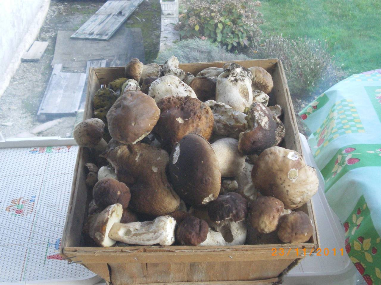 Faou Grand 6 in Les Martys, Région de Carcassonne