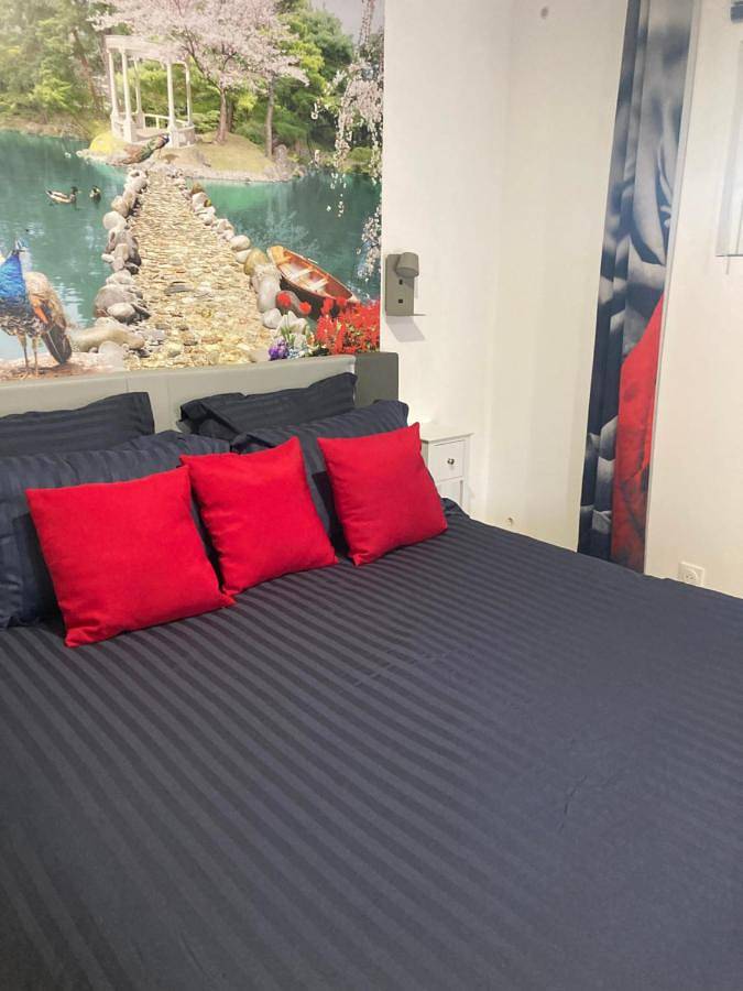 Gîte pour 4 personnes, avec terrasse et jacuzzi, animaux acceptés à Roquemaure - 4