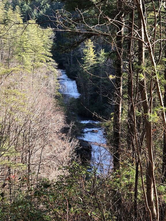 Mid-Century Modern * Herz von Downtown Brevard in Brevard, Transylvania County