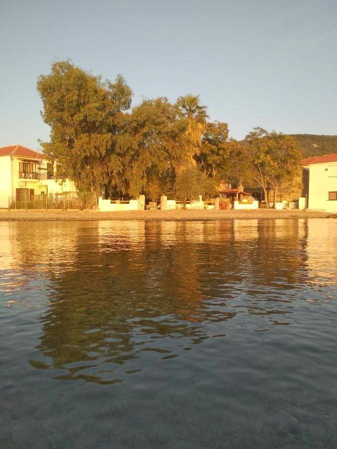 Ganze Wohnung, Kalama Apartments in Pilion