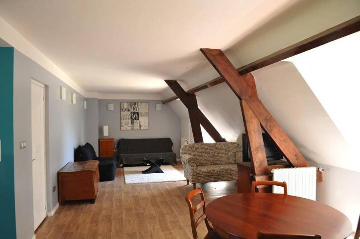 Maison de campagne pour 15 personnes, avec jardin ainsi que terrasse et piscine, animaux acceptés à Vitry-aux-Loges - 3