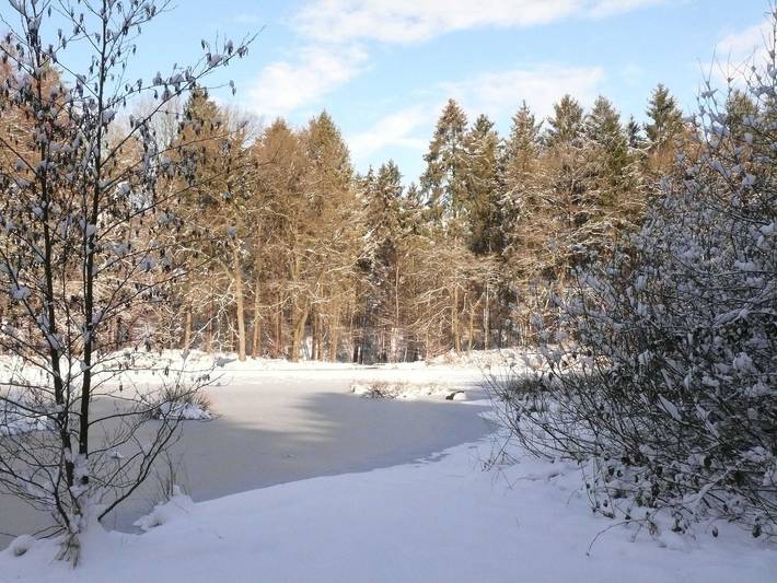 Ferienwohnung für 3 Personen in Altes Land Stade - 4
