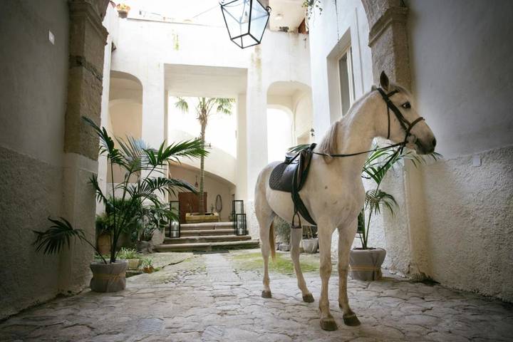Appartement de vacances pour 2 personnes, avec Balcon et Vue à Tropea