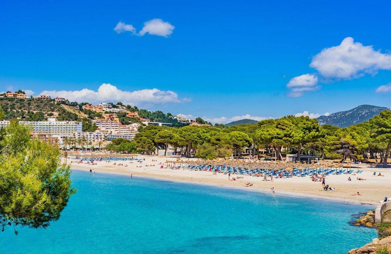 Appartement entier, Appartement de vacances pour 1 personne avec terrasse in Santa Ponsa, Calvià