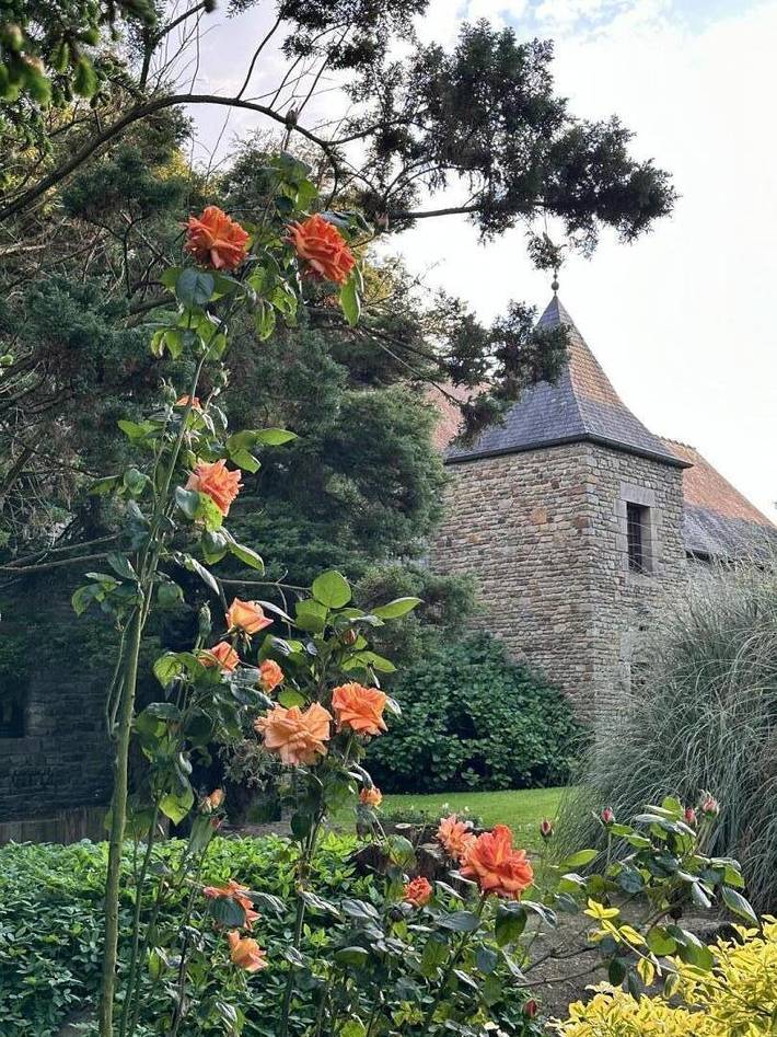 Gîte pour 4 personnes, avec jardin, animaux acceptés à Juilley