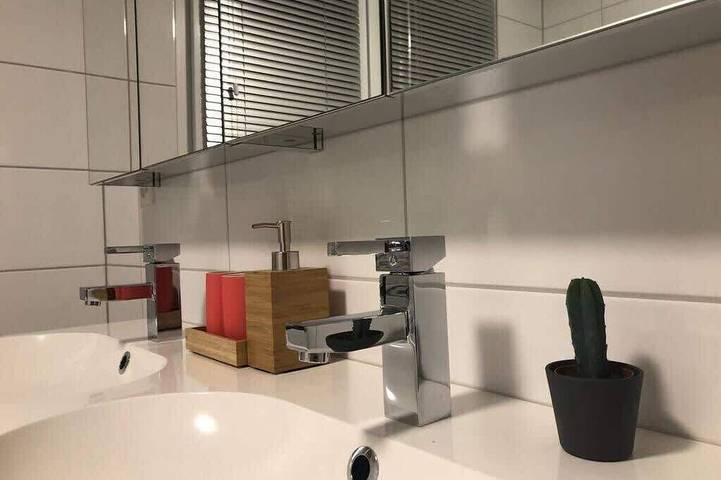 Ganze Wohnung, Apartment with shower - washing machine - 180 degree lake view in Rorschach, Obersee (Bodensee)