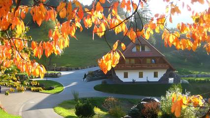 Ferienwohnung für 6 Personen in Triberg, Hochschwarzwald, Bild 1