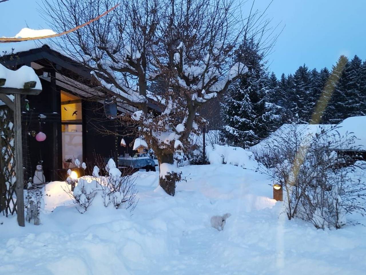 Amselnest in Bromskirchen, Waldecker Land