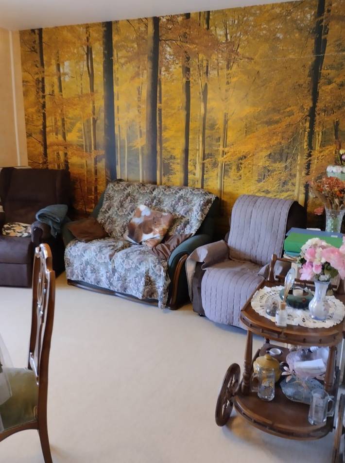 Gîte pour 6 personnes, avec jardin et terrasse dans le Tarn - 3