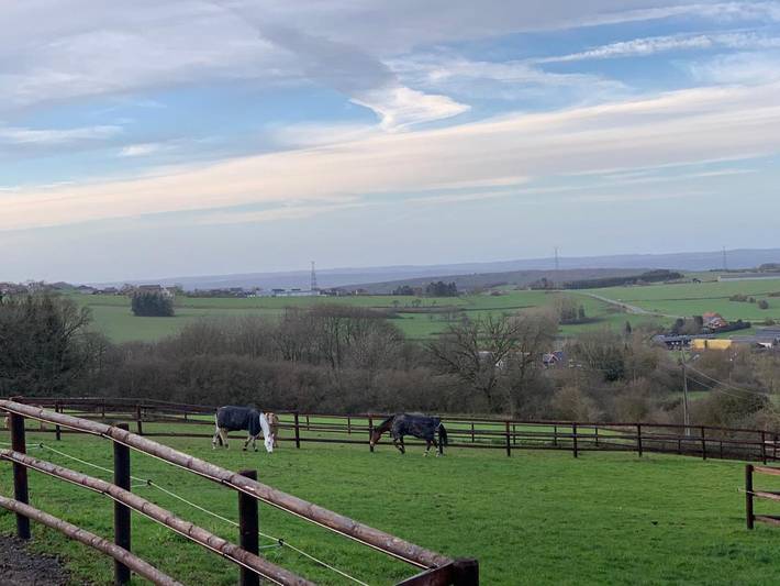 Maison de campagne pour 6 personnes, avec sauna ainsi que vue et jardin, animaux acceptés à Beauraing - 4