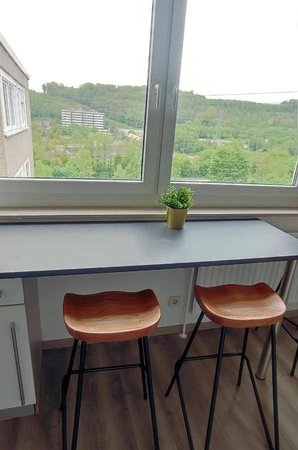 Ferienwohnung für 6 Personen, mit Ausblick und Garten in Hagen - 2