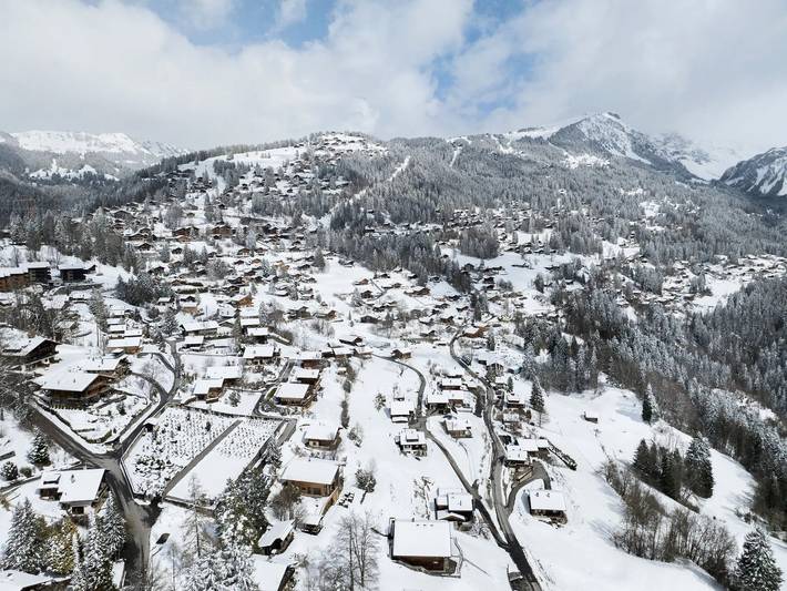 Chalet 8 Personnes in Gryon, Alpes Vaudoises