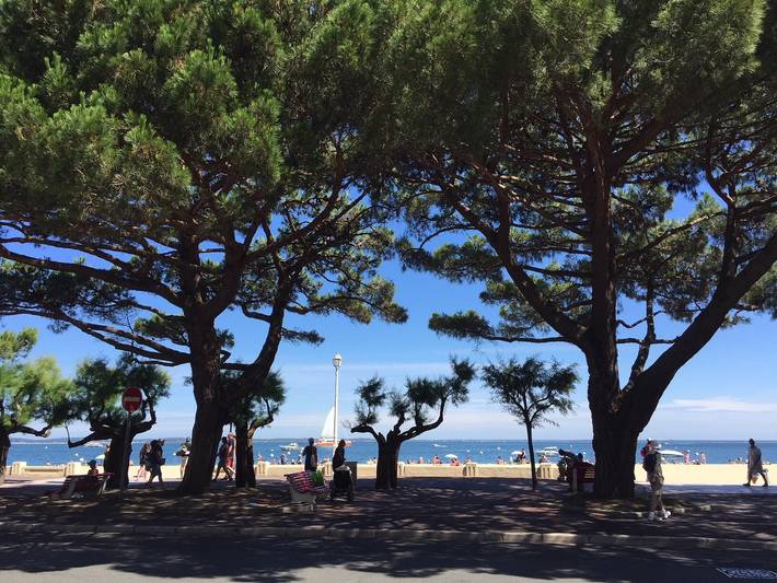 Ganze Wohnung, Familien-Loft, 100 Meter vom Strand, nahe Zentrum von Arcachon in Arcachon, Arcachon und Umgebung