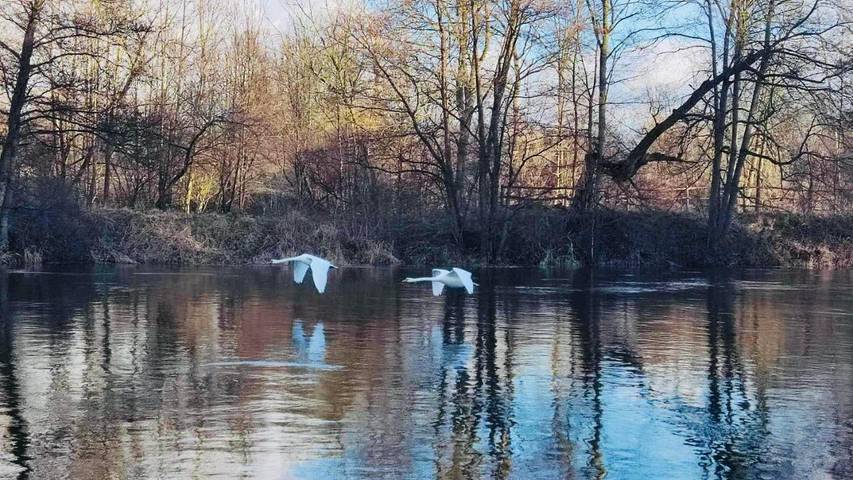 Villa für 11 Personen, mit Garten und Ausblick sowie Sauna, mit Haustier - 1