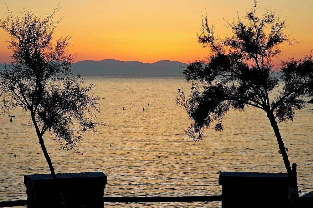 Detached cottage in a quiet area, part seaside, part mountains, in Pomonte. Starting August 22 in Pomonte, Marciana