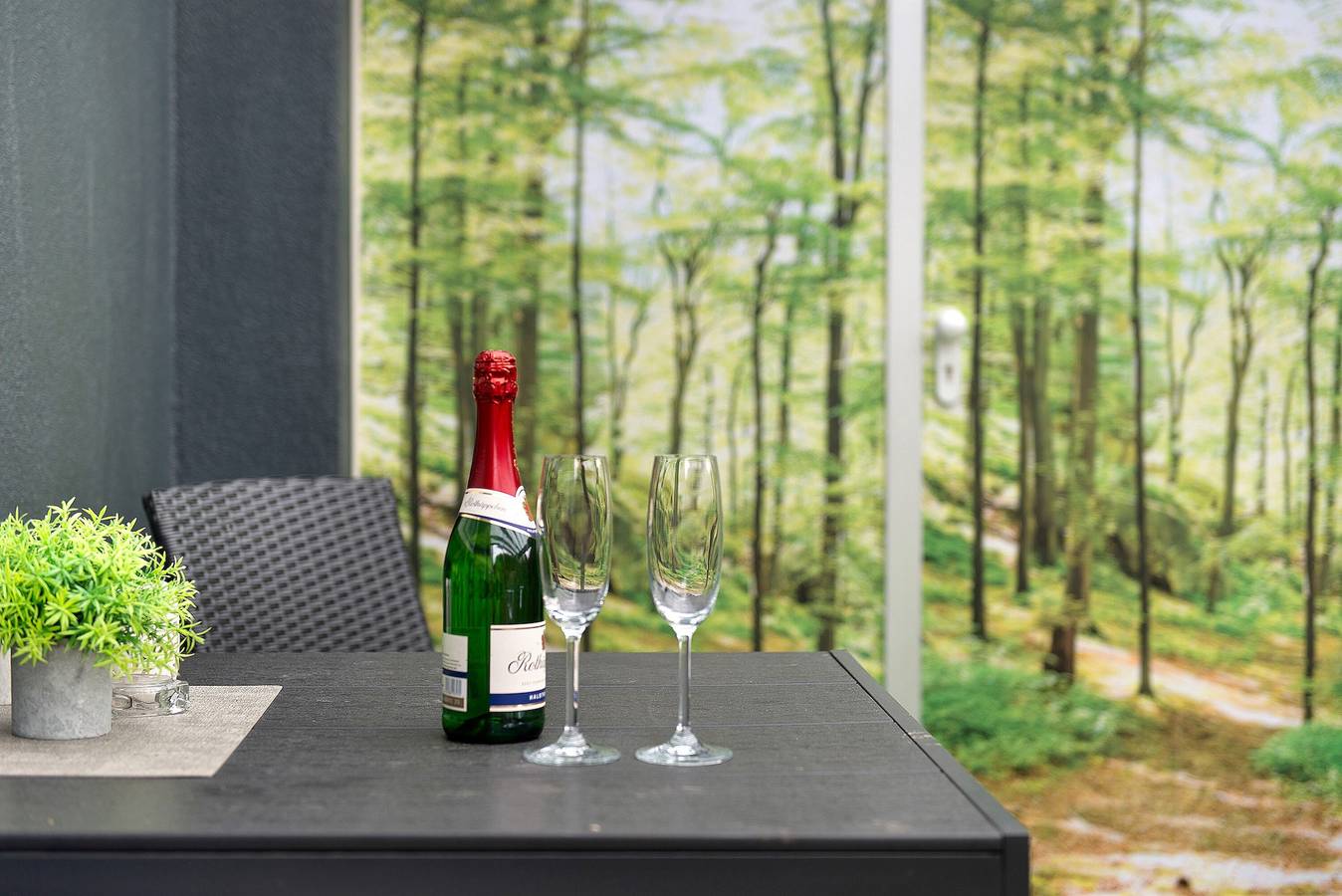 Ganze Wohnung, Apartment 'Haus Birkenösch' mit privater Terrasse, Gemeinschaftsgarten und Wlan in Pfullendorf, Region Bodensee-Oberschwaben