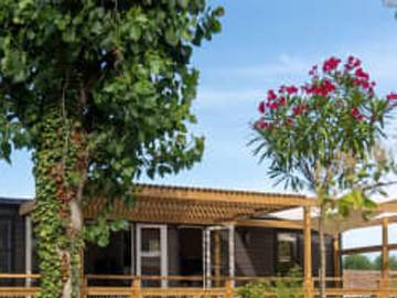 Camping voor 6 Personen in Roquebrune-sur-Argens, Draguignan en omgeving, Afbeelding 1