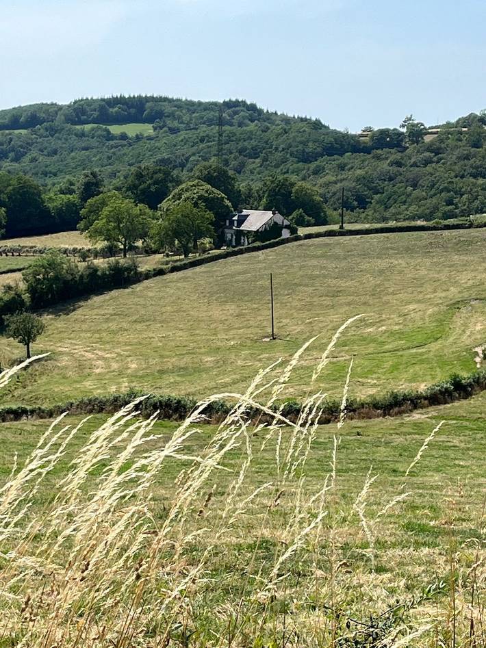 Gîte pour 5 personnes, animaux acceptés à Saint-Léger-de-Fougeret - 3