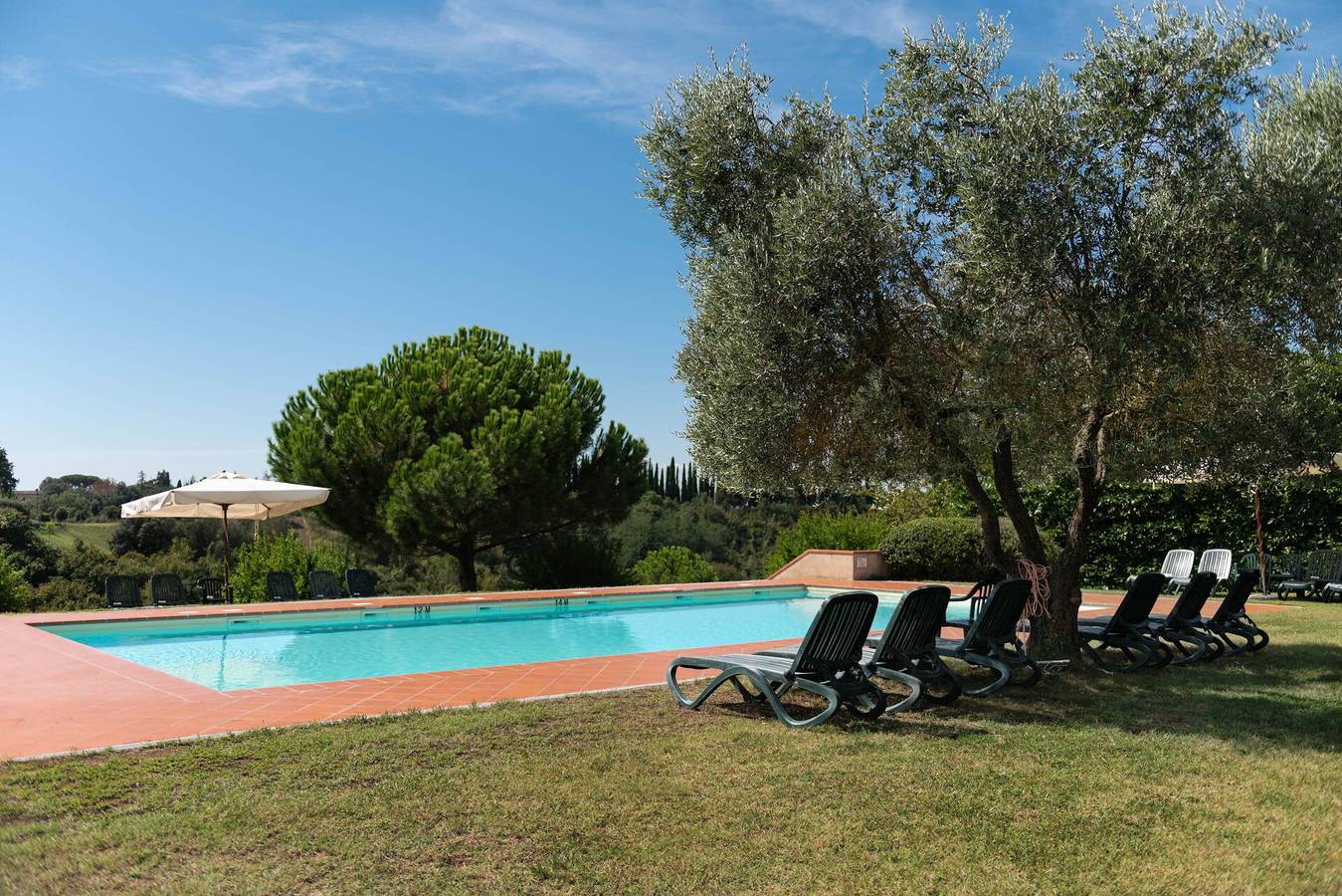 Vacation Rental for 8 Guests in Siena, Siena Province