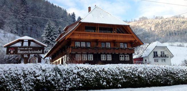 Ferienwohnung für 2 Personen, mit Balkon und Terrasse sowie Garten und Pool in Gutach (Schwarzwaldbahn) - 3