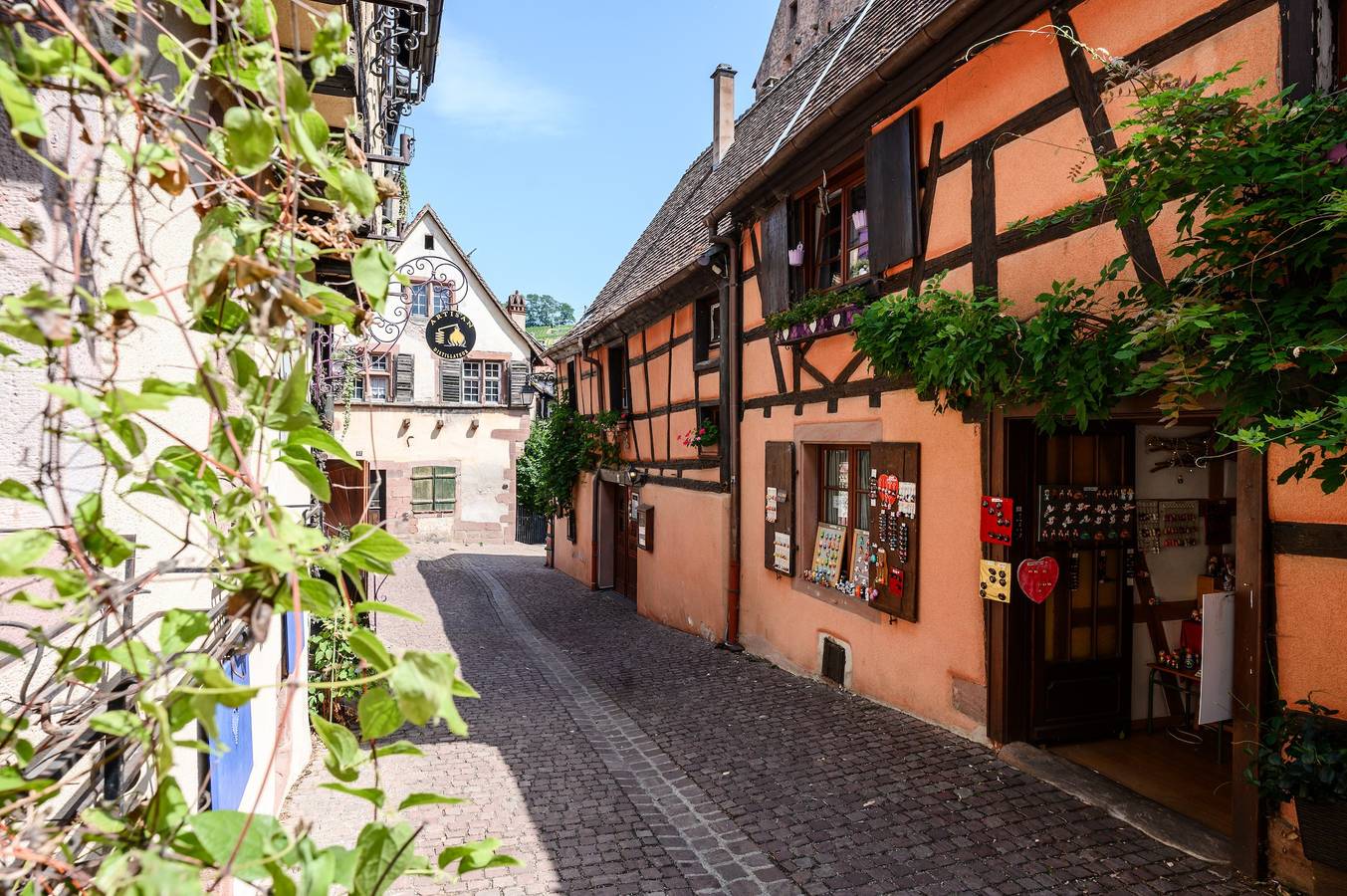 Appartement entier, Appartement Aux Deux Tours - Riquewihr in Riquewihr, Parc naturel régional des Ballons des Vosges