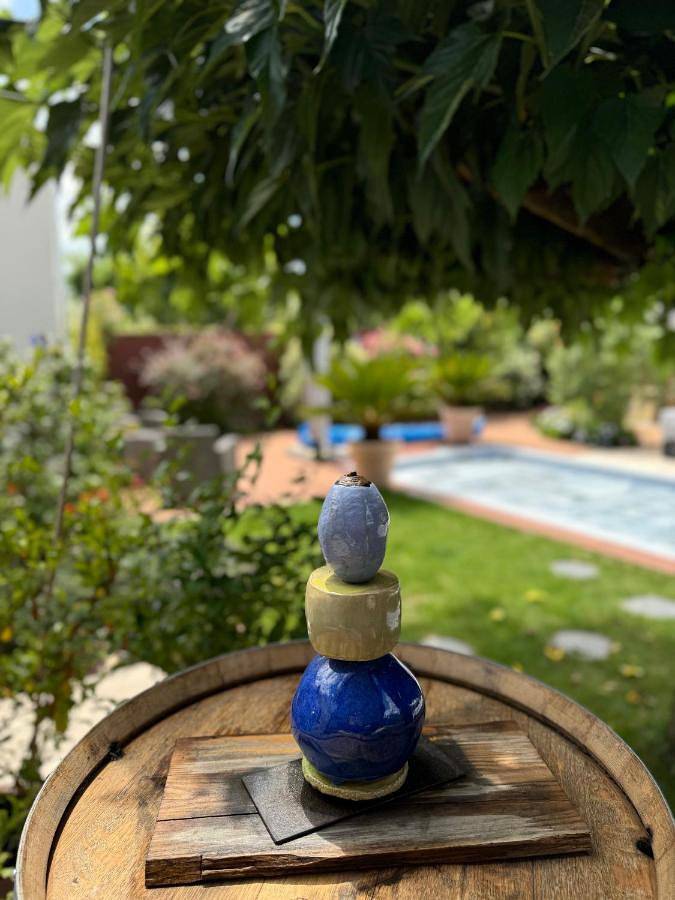 Location de vacances pour 2 personnes, avec jardin ainsi que terrasse et piscine à Échillais - 4