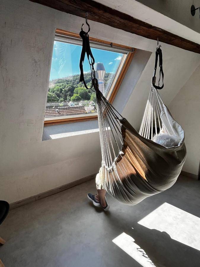 Gîte pour 9 personnes, avec jardin à Lembach - 3