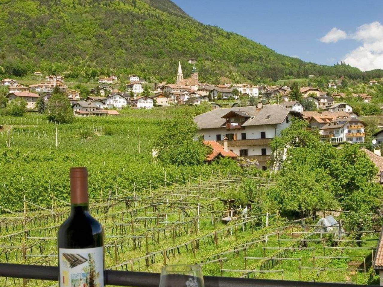 Micheli Hermann - Südzimmer, 30 qm - Familienzimmer in Kalterer See, Kaltern an der Weinstraße