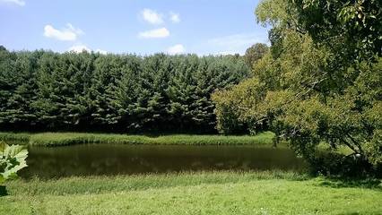 Vacation House for 5 Guests in Ohio, USA, Picture 1