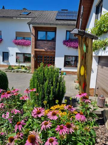 Ferienwohnung für 3 Personen in Medebach, Hochsauerlandkreis, Bild 3