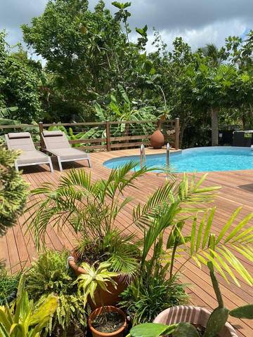 Maison d’hôte pour 3 personnes, avec piscine ainsi que jardin et jacuzzi en Guadeloupe