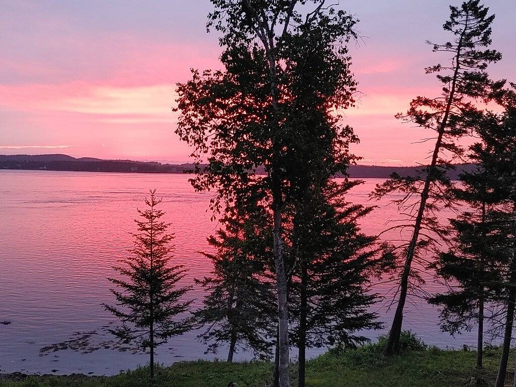 Waterfront cabin/Military discount/ Kayaks/ Fire pit/ beach/No pet fee/ deck in Washington County (Maine)