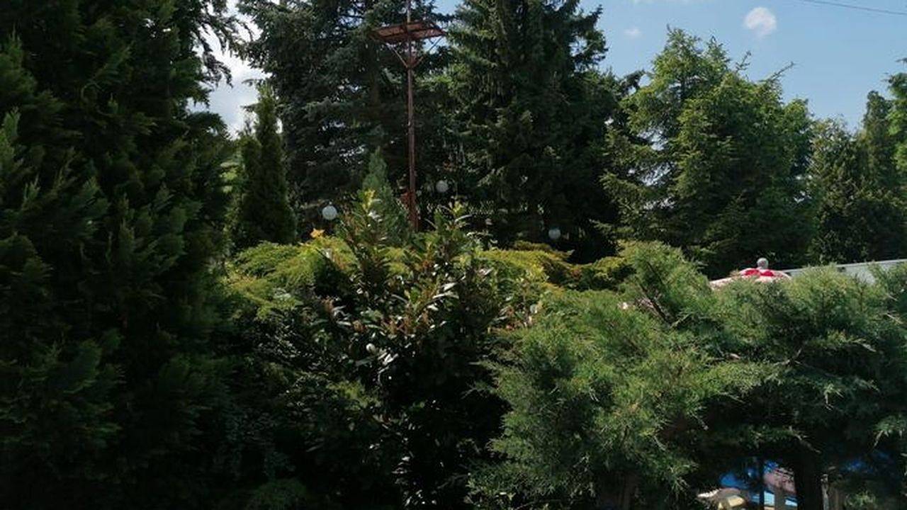 Ferienhaus für 3 Personen (48 m²) in Bad Gottleuba-Berggießhübel in Bad Gottleuba-Berggießhübel, Elbsandsteingebirge