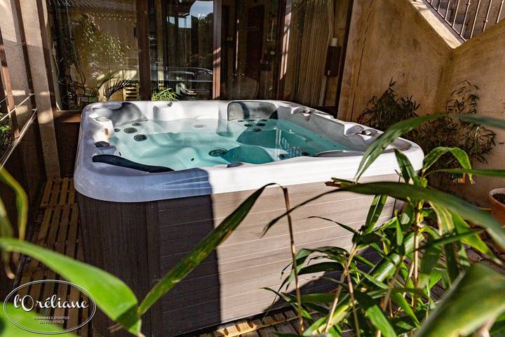 Gîte pour 2 personnes, avec sauna ainsi que jacuzzi et piscine à Châteauneuf-de-Gadagne - 4