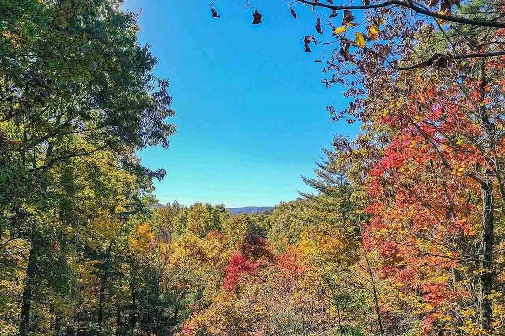 Amazing Foliage Views + Mountain View + Hot Tub + Fire Pit + Wrap-around Deck in Chattahoochee National Forest