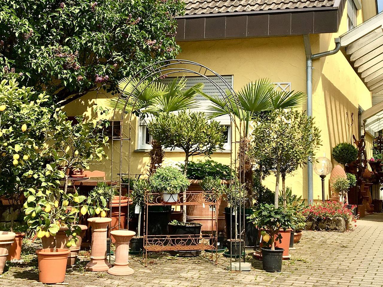 Ganze Wohnung, Apartment „Studio-, 32 qm“ mit Wlan in Ammerbuch, Neckar-Alb