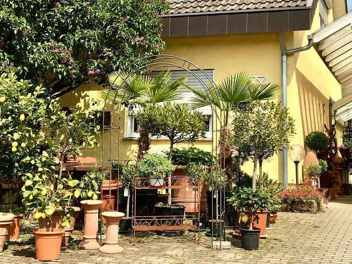 Geheel appartement, Appartement "Studio, 32 m²" met wifi in Ammerbuch, Hohenzollern Radweg Region