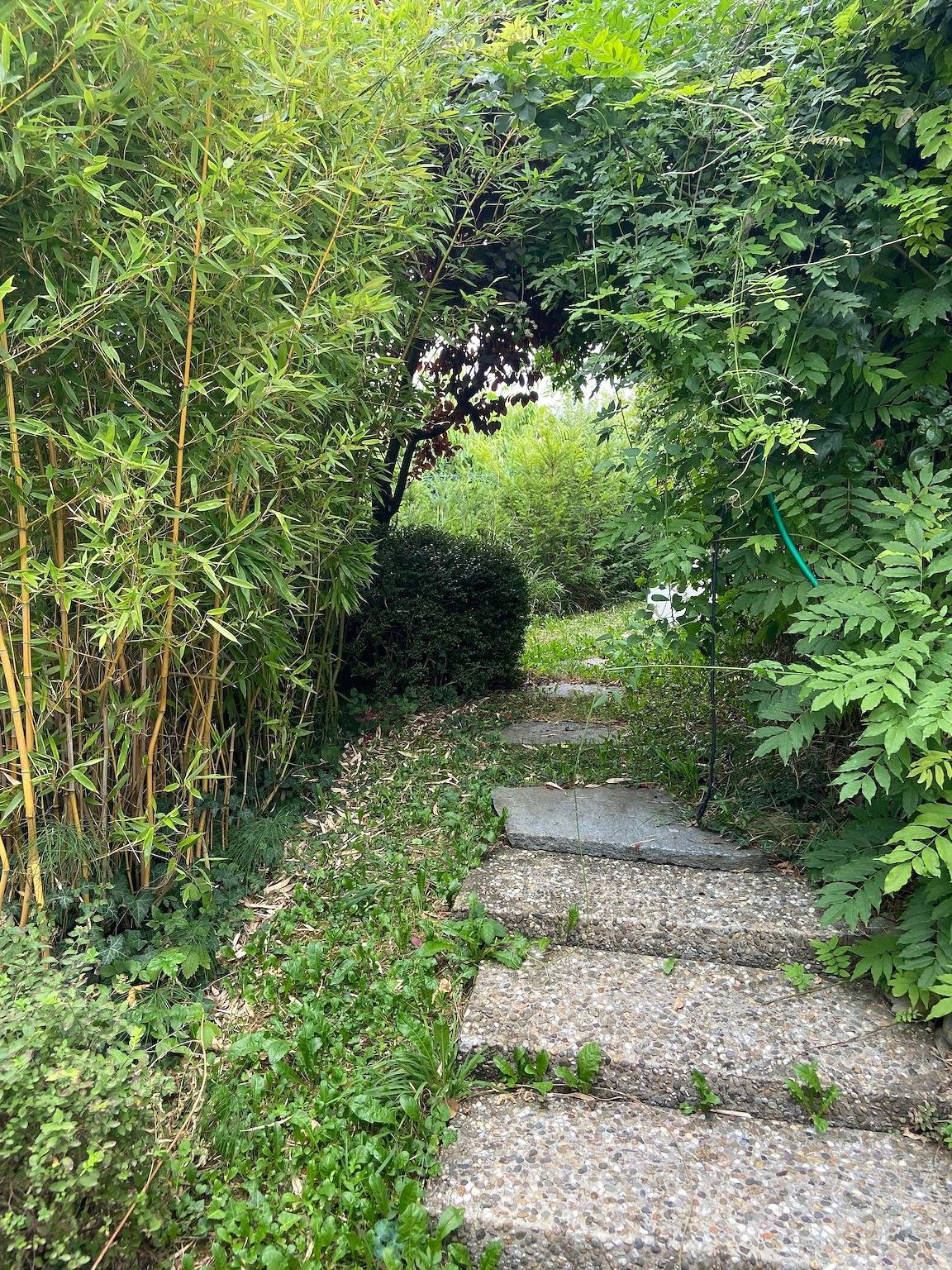 Ganzes Studio, Ferienhaus 'Haus Creasoluz' mit Seeblick, privater Terrasse und Wlan in Bodman-Ludwigshafen, Obersee (Bodensee)
