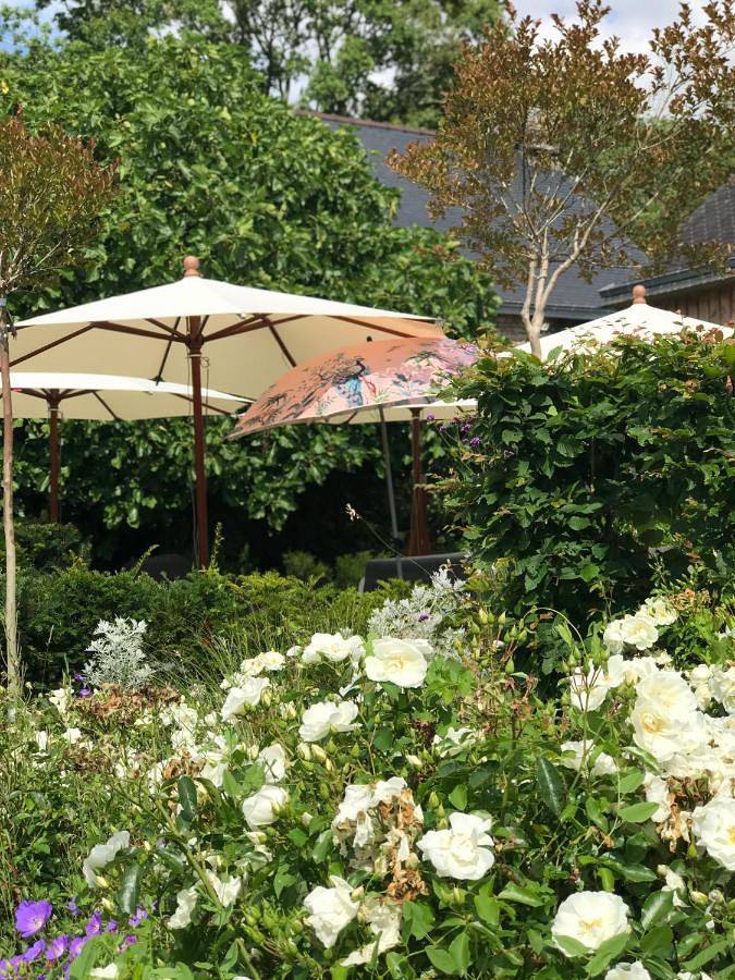 Chambre d’hôte pour 2 personnes, avec jardin et vue, animaux acceptés dans Theix-Noyalo - 2