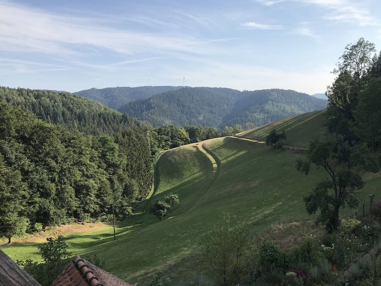 Ganze Wohnung, Apartment 'Leibgeding' mit Balkon und Wlan in Wolfach, Kinzigtal