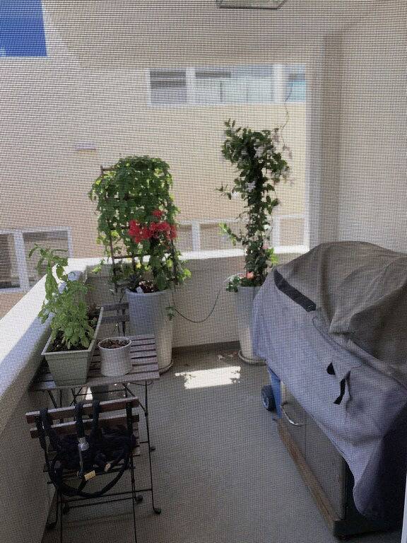 Gorgeous home steps to the beach in Hermosa Beach, Los Angeles County