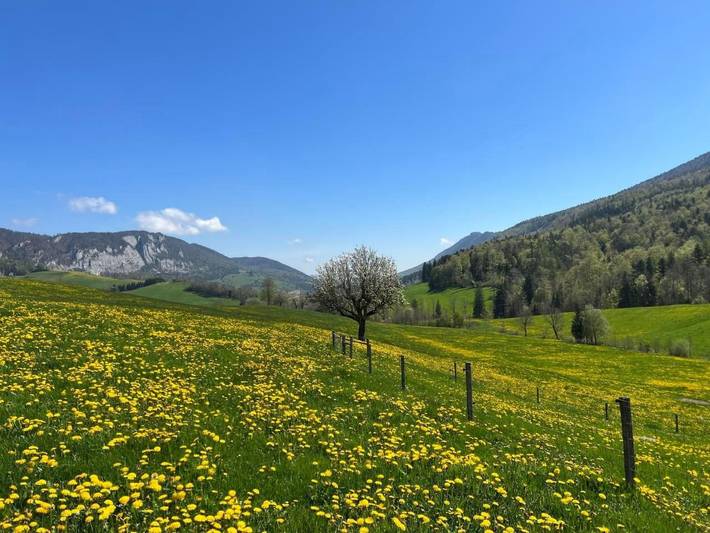 Ferienwohnung für 4 Personen, mit Garten und Sauna