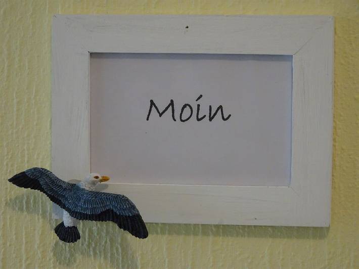 Entire holiday apartment, Wohnung 2 Möwennest in St. Peter-Bad, St. Peter-Ording
