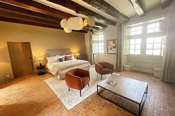 Gîte pour 12 personnes, avec jardin à Candes-Saint-Martin - 3