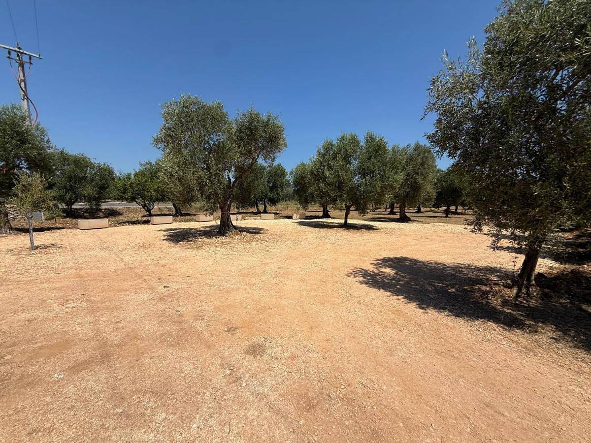 Agricampeggio Dei Nobili in Bitetto, Provincia di Bari
